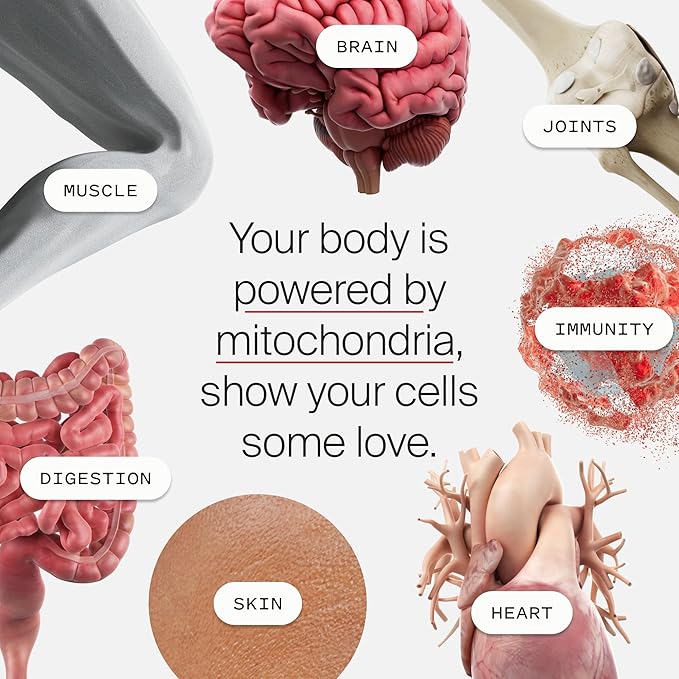 Mitopure Softgels
