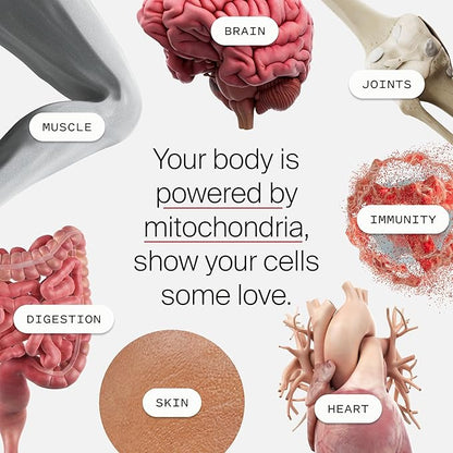 Mitopure Softgels